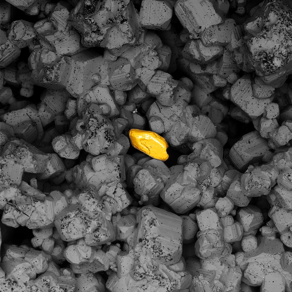 False-colored SEM image of a gold grain among pyrite crystals